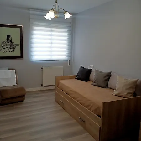 Luz De Guía