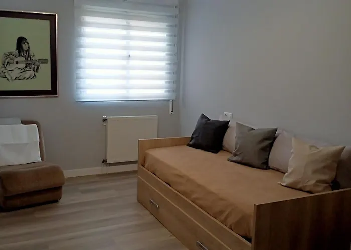Luz De Guia